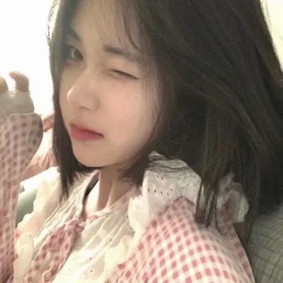 来自收容所的爱